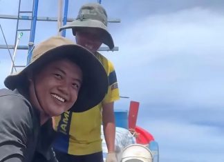 Video: Ngư dân thả cá thể rùa gần 200kg về biển
