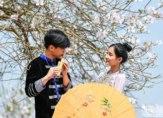 Phát triển sức mạnh mềm của văn hóa Việt Nam Phát triển sức mạnh mềm của văn hóa Việt Nam