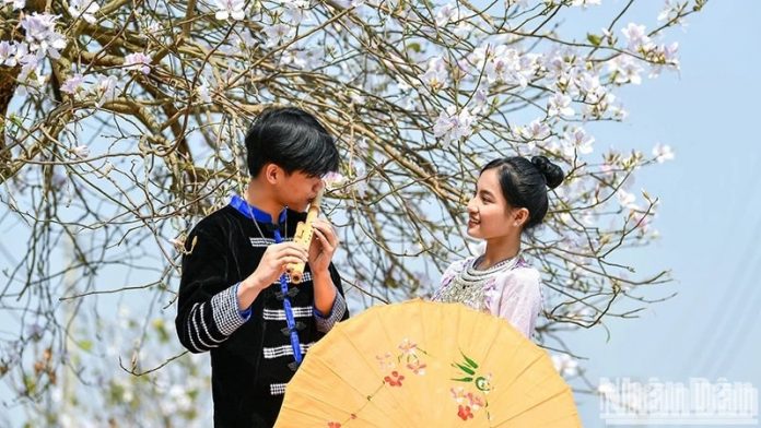 Phát triển sức mạnh mềm của văn hóa Việt Nam Phát triển sức mạnh mềm của văn hóa Việt Nam