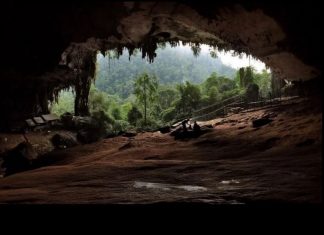 Quần thể hang động Niah của Malaysia được UNESCO công nhận là di sản thế giới