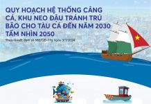 Infographics: Quy hoạch hệ thống cảng cá, khu neo đậu tránh trú bão cho tàu cá đến năm 2030 tầm nhìn 2050