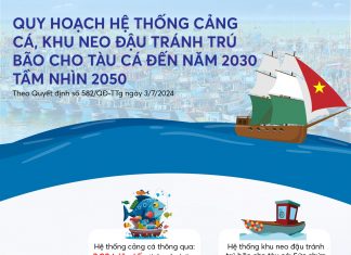 Infographics: Quy hoạch hệ thống cảng cá, khu neo đậu tránh trú bão cho tàu cá đến năm 2030 tầm nhìn 2050