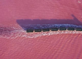 Video: Tàu hỏa chạy trên mặt nước màu hồng siêu thực