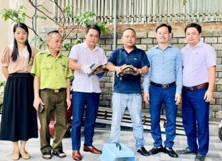 Thả 2 cá thể rùa quý hiếm về tự nhiên