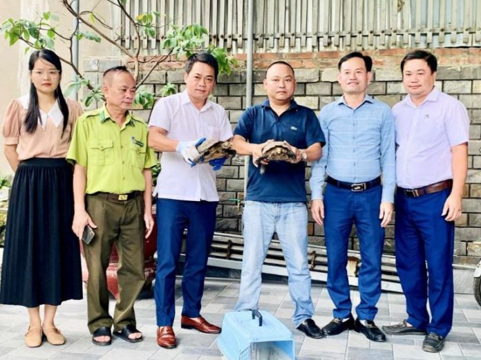 Thả 2 cá thể rùa quý hiếm về tự nhiên