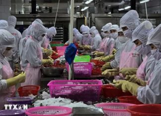 Tổng kim ngạch xuất khẩu nông lâm thủy sản tăng gần 19%