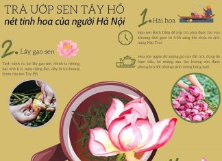 Ướp trà sen Tây Hồ, một nét tinh hoa của người Hà Nội