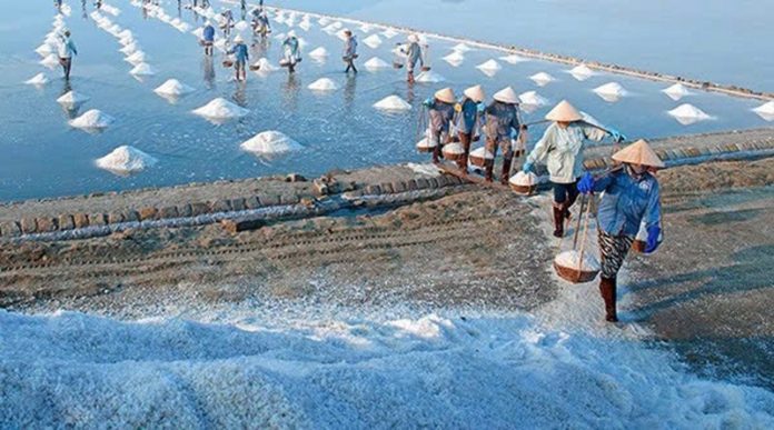 Tạo cú huých để thương hiệu muối Bạc Liêu phát triển bền vững