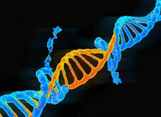 11 đột biến gene cực kỳ thú vị được tìm thấy ở con người 11 đột biến gene cực kỳ thú vị được tìm thấy ở con người