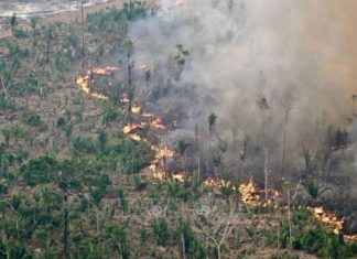 Brazil điều máy bay quân sự tham gia dập cháy rừng