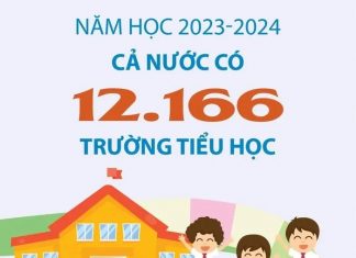 Năm học 2023-2024: Cả nước có 12.166 trường tiểu học