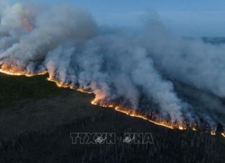 Cháy rừng đẩy Canada vào Top 4 nước phát thải carbon nhiều nhất thế giới