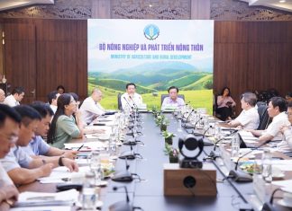 Đề xuất thành lập Hội đồng lúa gạo quốc gia