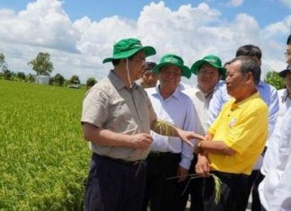 Đồng bằng sông Cửu Long cần tăng cường liên kết chuỗi giá trị nông nghiệp trong kinh tế hợp tác
