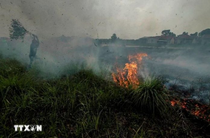 Indonesia: Nguy cơ cháy rừng tại nhiều khu vực do khô hạn kéo dài Indonesia: Nguy cơ cháy rừng tại nhiều khu vực do khô hạn kéo dài