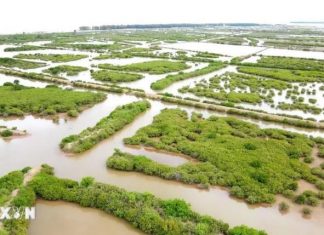 Thái Bình: Công bố ranh giới Khu bảo tồn thiên nhiên đất ngập nước Tiền Hải