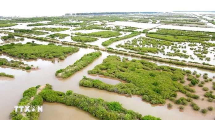 Thái Bình: Công bố ranh giới Khu bảo tồn thiên nhiên đất ngập nước Tiền Hải