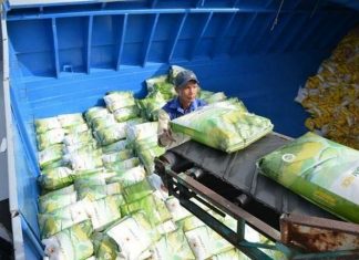 Ngành nông nghiệp xuất siêu hơn 11,8 tỷ USD trong 8 tháng năm 2024