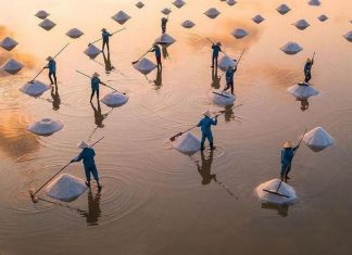 Vẻ đẹp lấp lánh của cánh đồng muối Hòn Khói Vẻ đẹp lấp lánh của cánh đồng muối Hòn Khói