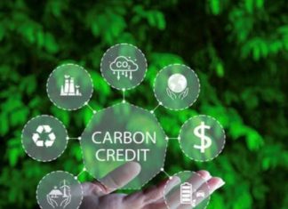 Sự hợp tác đột phá trong phát triển thị trường tín chỉ carbon toàn cầu