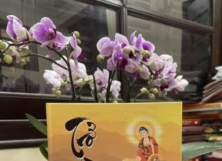 Trở về cõi tịnh – Tác giả: Nhà văn Phùng Văn Khai Trở về cõi tịnh - Tác giả: Nhà văn Phùng Văn Khai