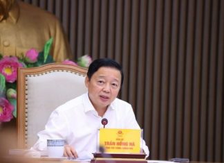 Hỗ trợ, đầu tư 'ra tấm, ra món' cho vùng quy hoạch trồng lúa có năng suất, chất lượng cao