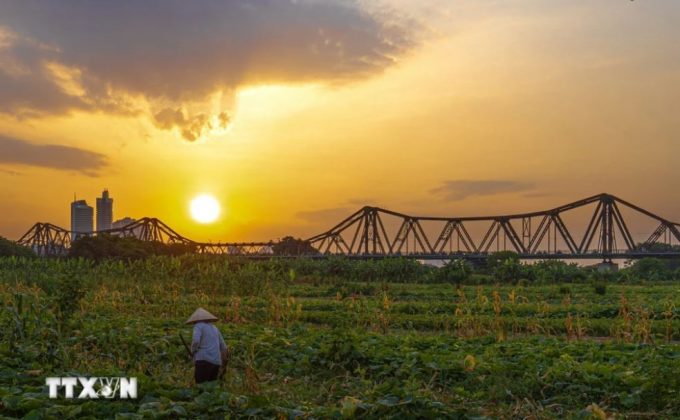 Nắng chiều Thu v&agrave;ng &oacute;ng. (Ảnh: Phạm Tuấn Anh/ TTXVN)