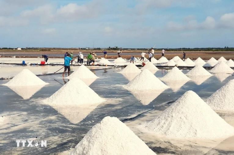 Một cánh đồng muối tại Bạc Liêu. 