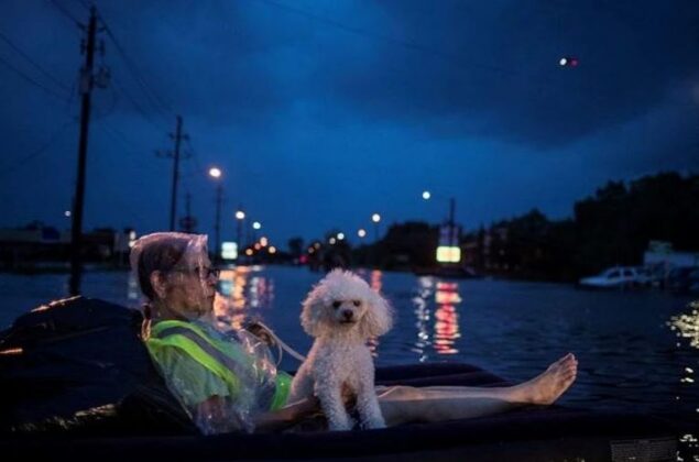 B&atilde;o Harvey năm 2017 l&agrave; một trong những cơn b&atilde;o g&acirc;y thiệt hại lớn nhất về t&agrave;i sản trong lịch sử nước Mỹ.
