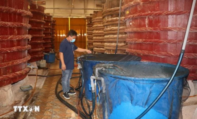Sản xuất nước mắm Phú Quốc. 
