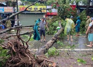 Những con số nói lên sức tàn phá kinh hoàng của bão số 3
