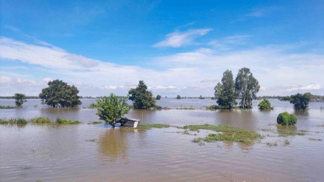 Mùa nước tràn đồng đôi bờ kênh Vĩnh Tế Mùa nước tràn đồng đôi bờ kênh Vĩnh Tế