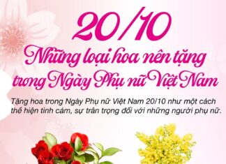 6 loại hoa nên tặng trong ngày Phụ nữ Việt Nam 20/10