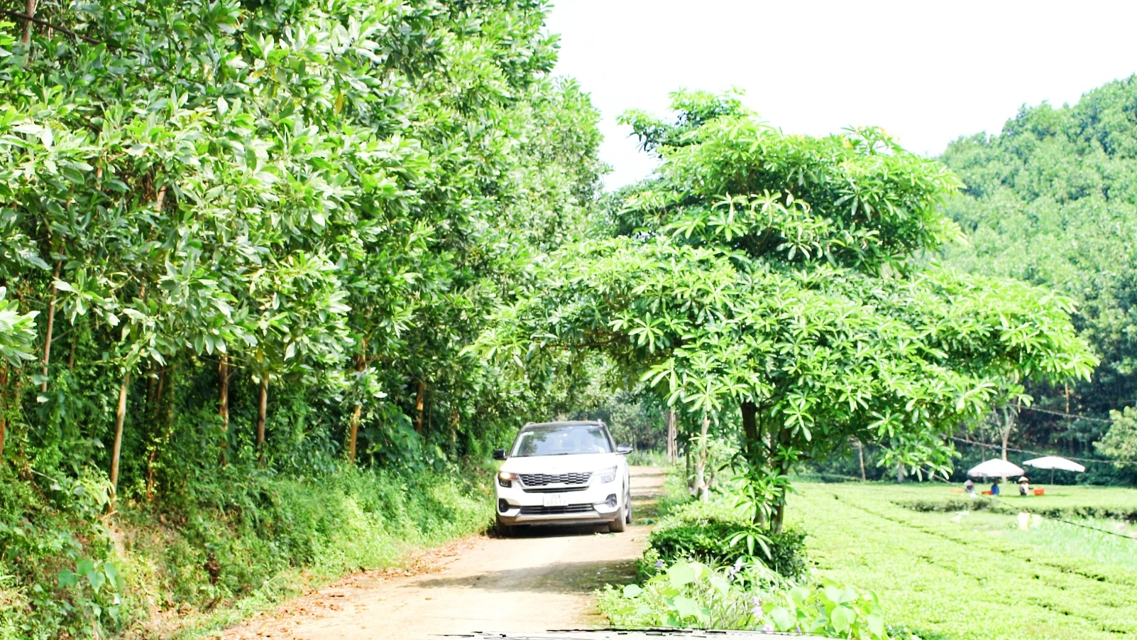 Đồng Hỷ có đông đồng bào Sán Dìu, hầu hết đường vào các xóm trên địa bàn huyện đều được bê-tông hóa thúc đẩy phát triển kinh tế, xã hội.