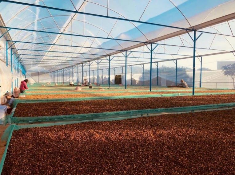 9 tháng, kim ngạch xuất khẩu nông, lâm, thủy sản tăng 21%