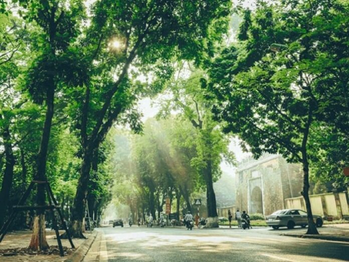 Bản tin dự báo, cảnh báo xu thế thời tiết trên đất liền thời hạn đến 10 ngày (Từ đêm 19/10 đến ngày 29/10)