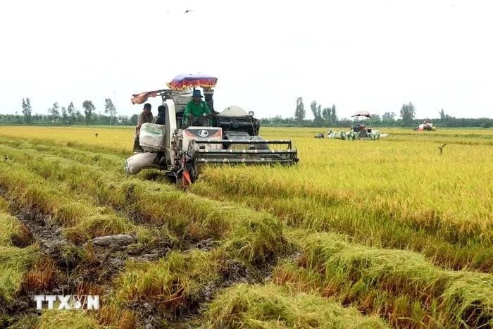 Can Tho phan dau dat tang truong GRDP ca nam h2 min - Cần Thơ phấn đấu đạt tăng trưởng GRDP cả năm hơn 7,5%