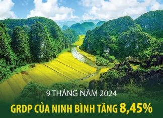 Chín tháng năm 2024, GRDP của Ninh Bình tăng 8,45% Chín tháng năm 2024, GRDP của Ninh Bình tăng 8,45%