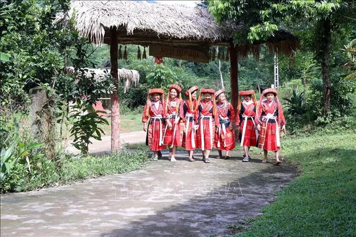 Phụ nữ dân tộc Pà Thẻn, thôn Thượng Minh, xã Hồng Quang (huyện Lâm Bình, tỉnh Tuyên Quang) rực rỡ trong bộ trang phục truyền thống.