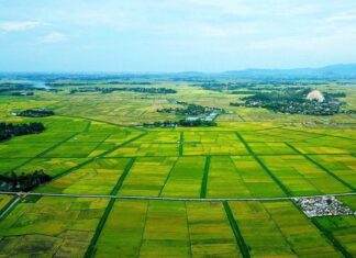 Kết quả thống kê diện tích đất đai của cả nước năm 2023