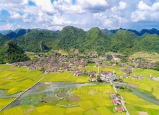 Độc đáo Lễ hội mùa vàng Bắc Sơn Độc đáo Lễ hội mùa vàng Bắc Sơn