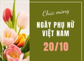 Lời chúc ngày 20/10 ý nghĩa dành cho mẹ, vợ, người yêu Lời chúc ngày 20/10 ý nghĩa dành cho mẹ, vợ, người yêu