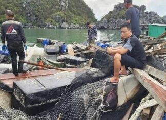 Thủ tướng: Khẩn trương thực hiện các chính sách hỗ trợ nông dân phục hồi sản xuất sau bão số 3