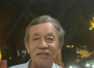 Tác giả Dương Xuân Định