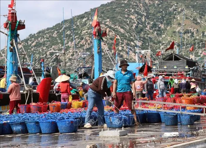 Cảng biển Cà Ná (huyện Thuận Nam) góp phần thúc đẩy phát triển công nghiệp chế biến thủy hải sản của tỉnh Ninh Thuận.