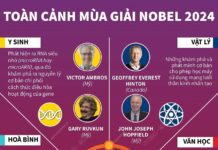 Toàn cảnh mùa giải Nobel năm 2024