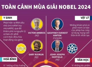 Toàn cảnh mùa giải Nobel năm 2024