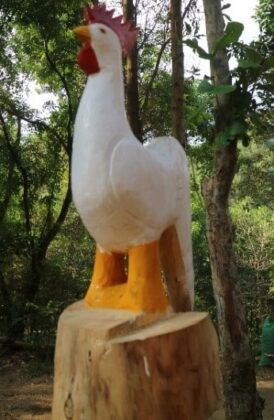 G&agrave; trống (Khắc gỗ, Ảnh: VVH