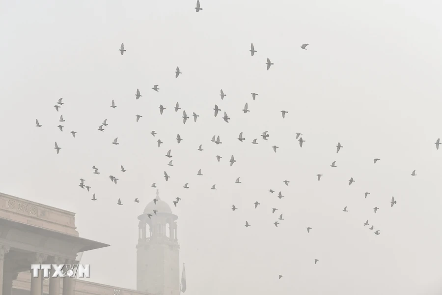 Khói mù ô nhiễm bao phủ dày đặc tại New Delhi, Ấn Độ.