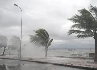 Xã hội Môi trường - Khí hậu Bão số 7 sẽ suy yếu thành áp thấp nhiệt đới ngay trên Biển Đông
